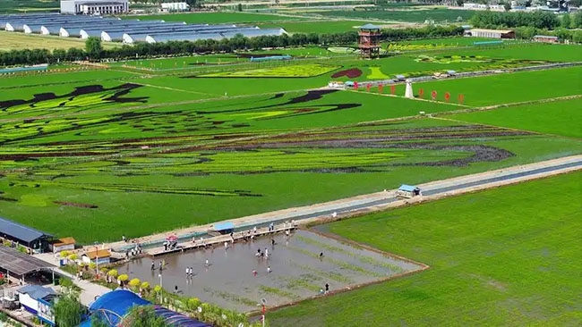 宁夏出台11条政策措施推动涉农工业园区高质量发展(图1) 宁夏出台11条政策措施推动涉农工业园区高质量发展(图1)